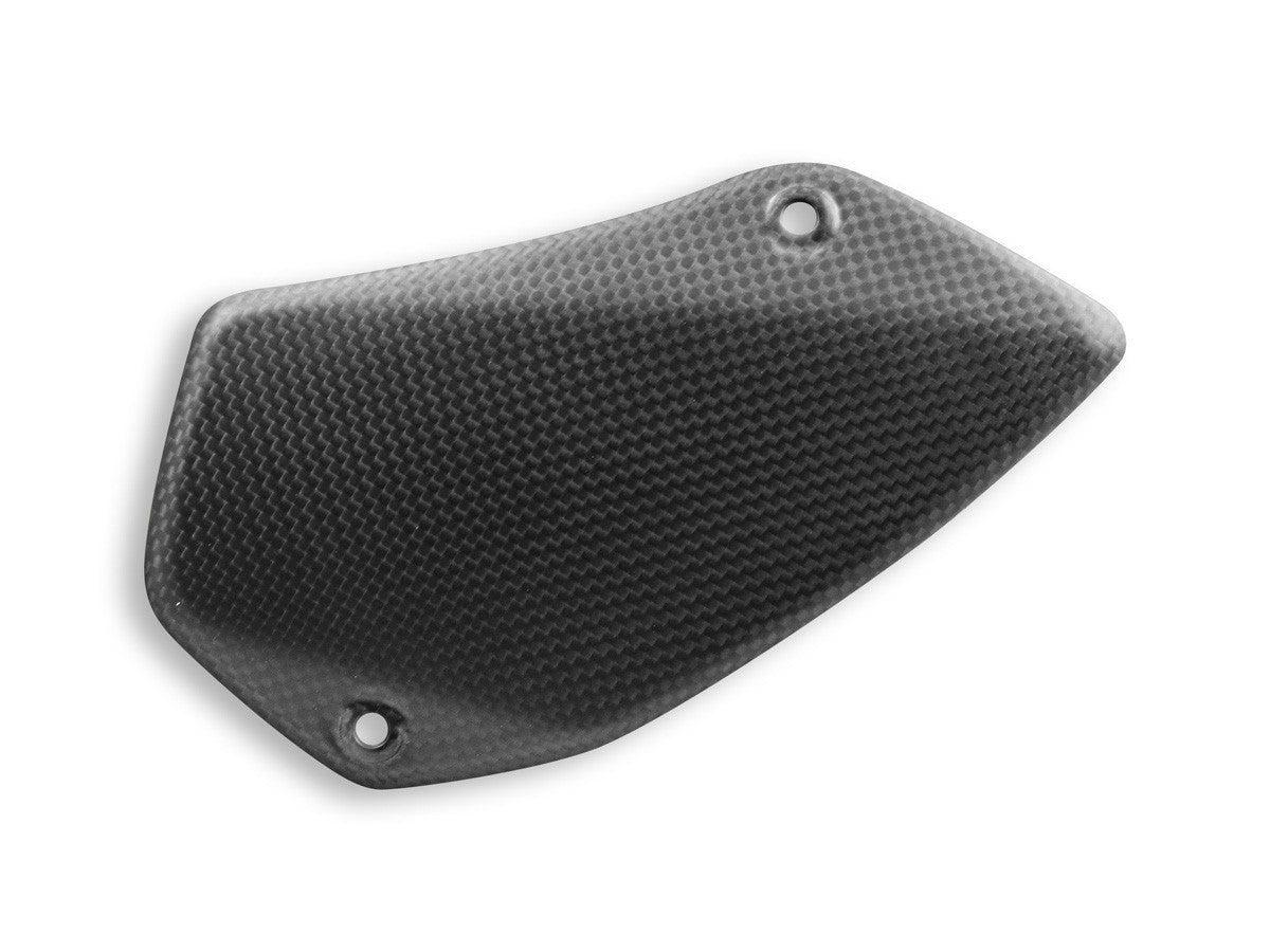 CRB125O Matt Carbon Swingarm Protection Cover MTS V4 Pikes Peak