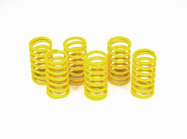 6M01 - KIT CLUTCH SPRINGS
