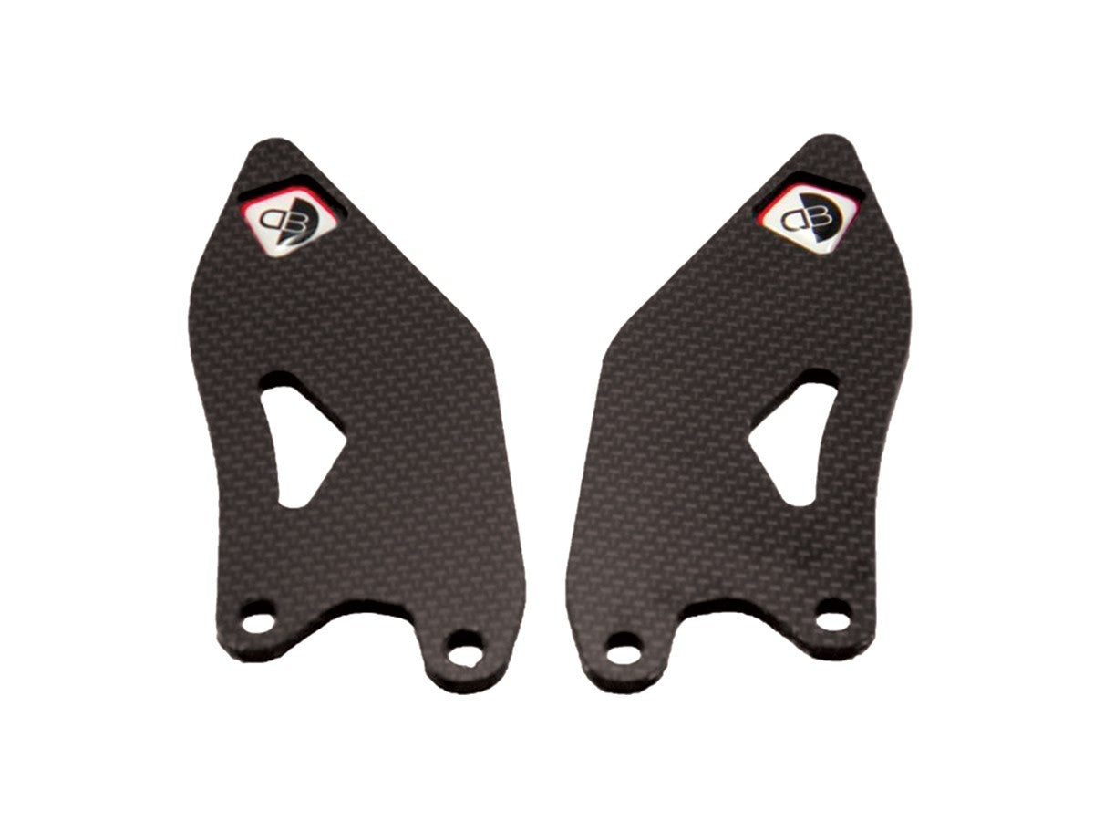 RPPC01 Carbon Guards