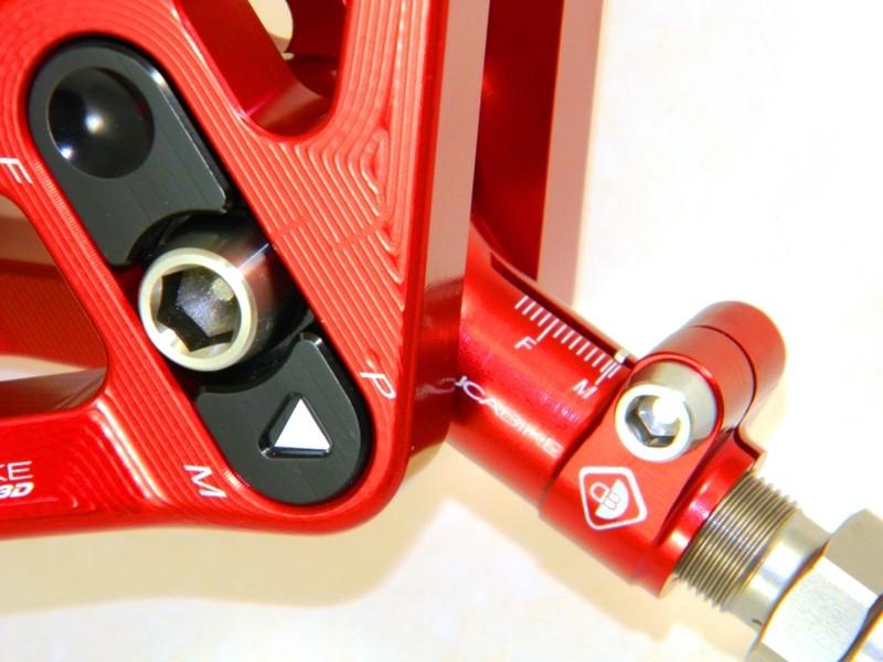 BSP01 - REAR LINK SUSPENSION PANIGALE