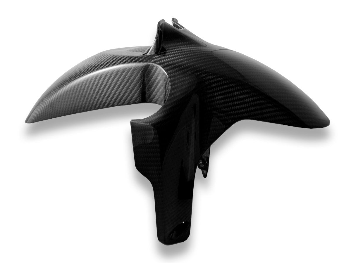 CRB176L - BMW R1300GS GLOSSY CARBON FRONT FENDER