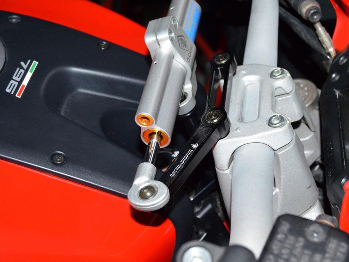 SAS06 - KIT MOUNT STEERING DAMPER M796 / 1100 EVO