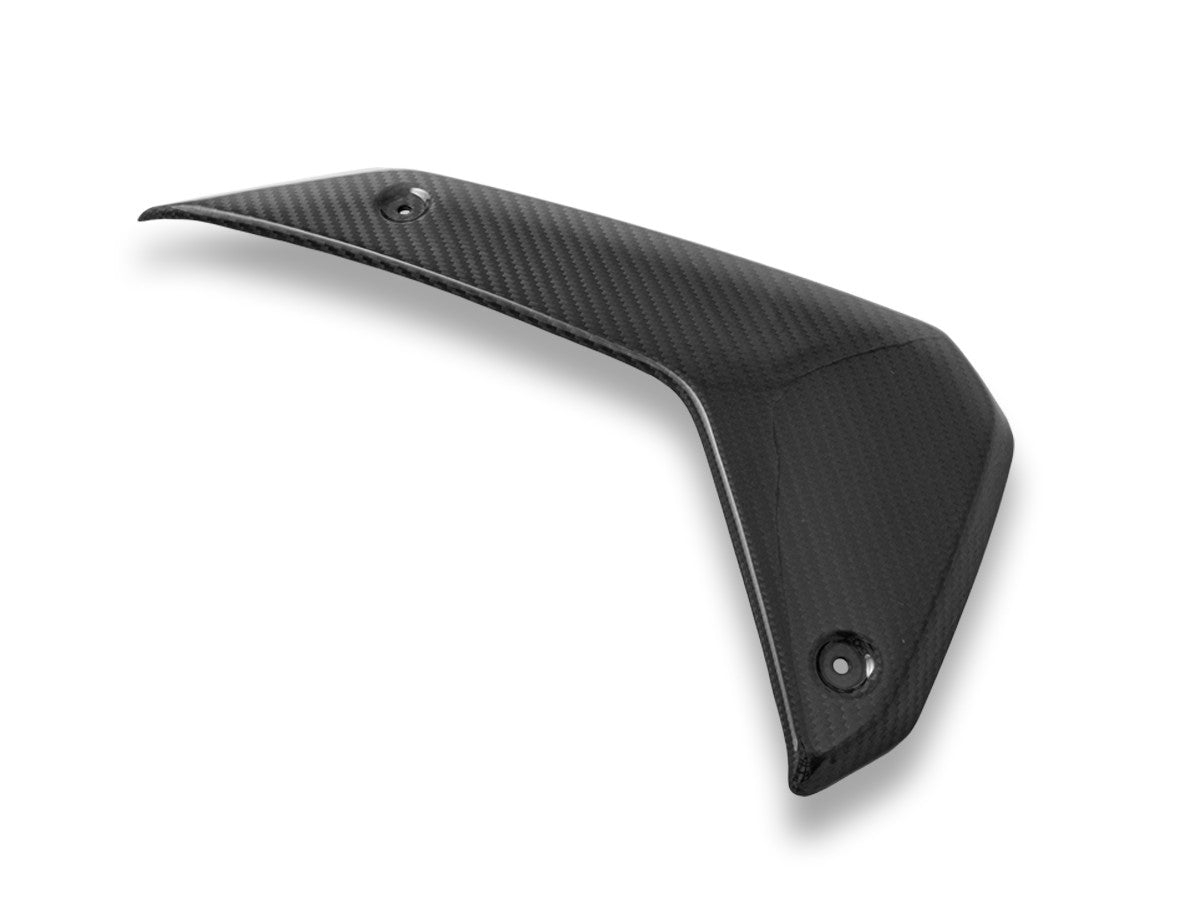 CRB180L - BMW R1300GS GLOSSY CARBON SIDE PANELS