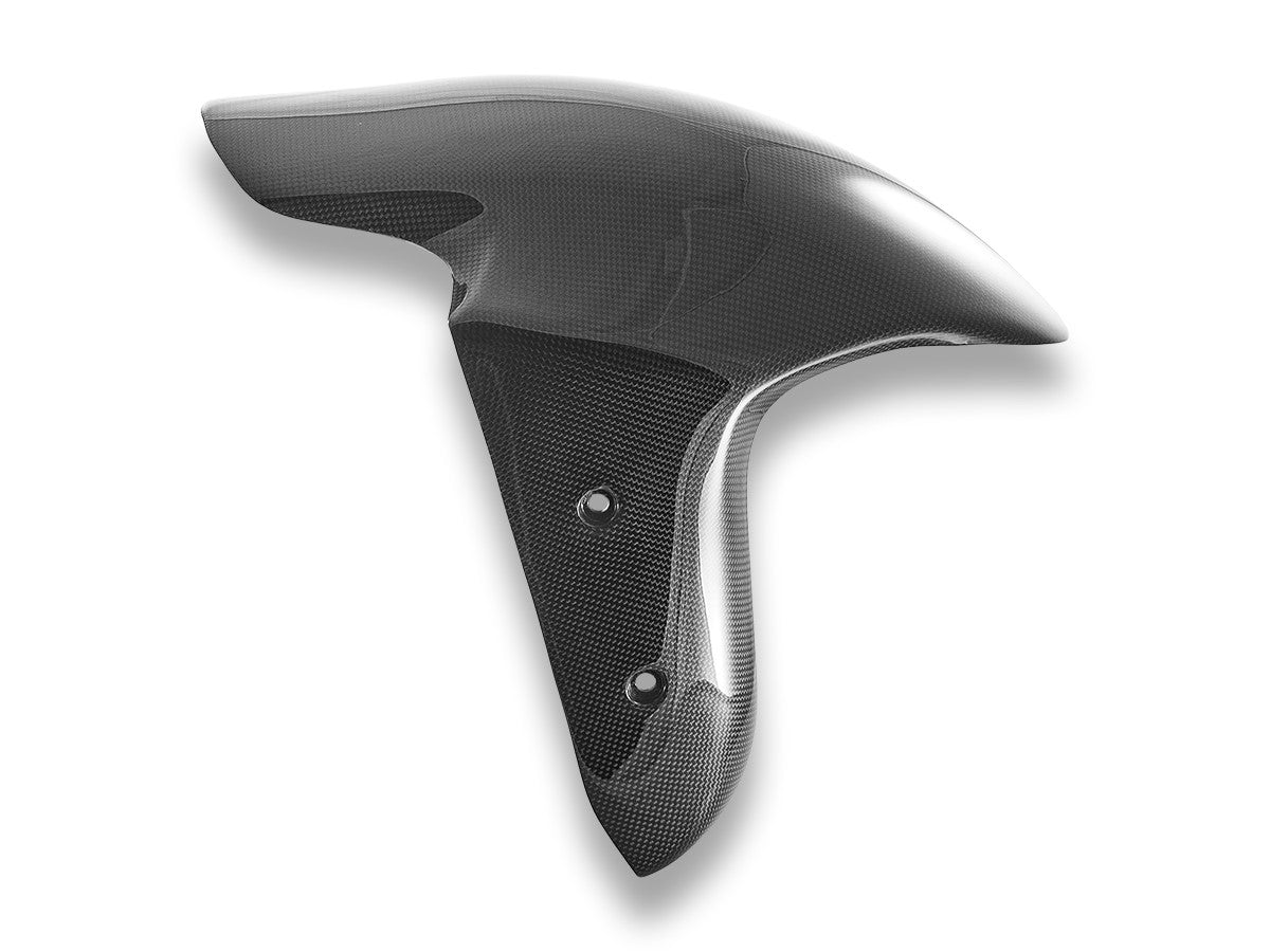 CRB225L - PANIGALE V4 MY25 GLOSSY CARBON FRONT FENDER