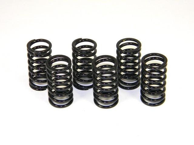 6M01 - KIT CLUTCH SPRINGS