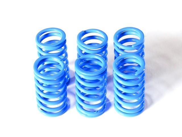 6M01 - KIT CLUTCH SPRINGS