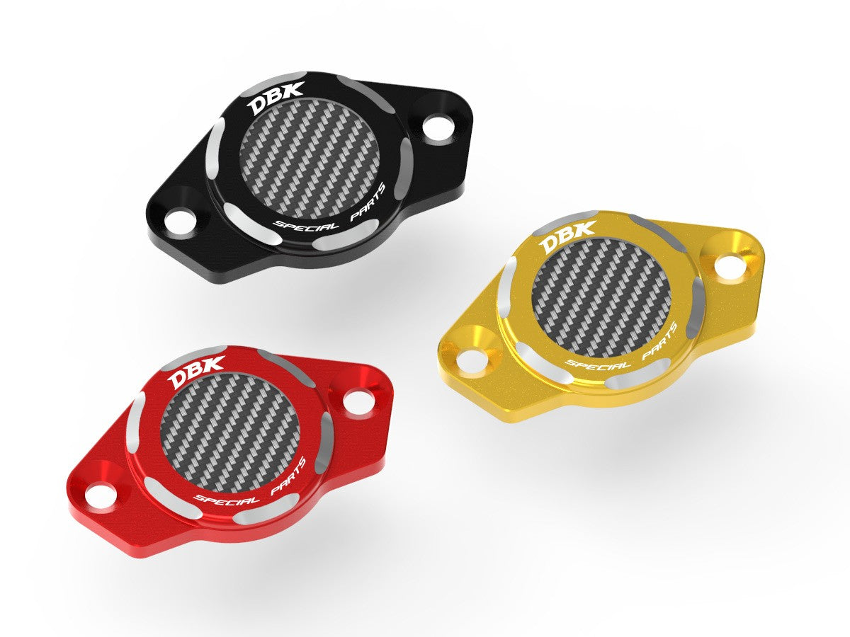 CIF06 Timing Inspection Cover