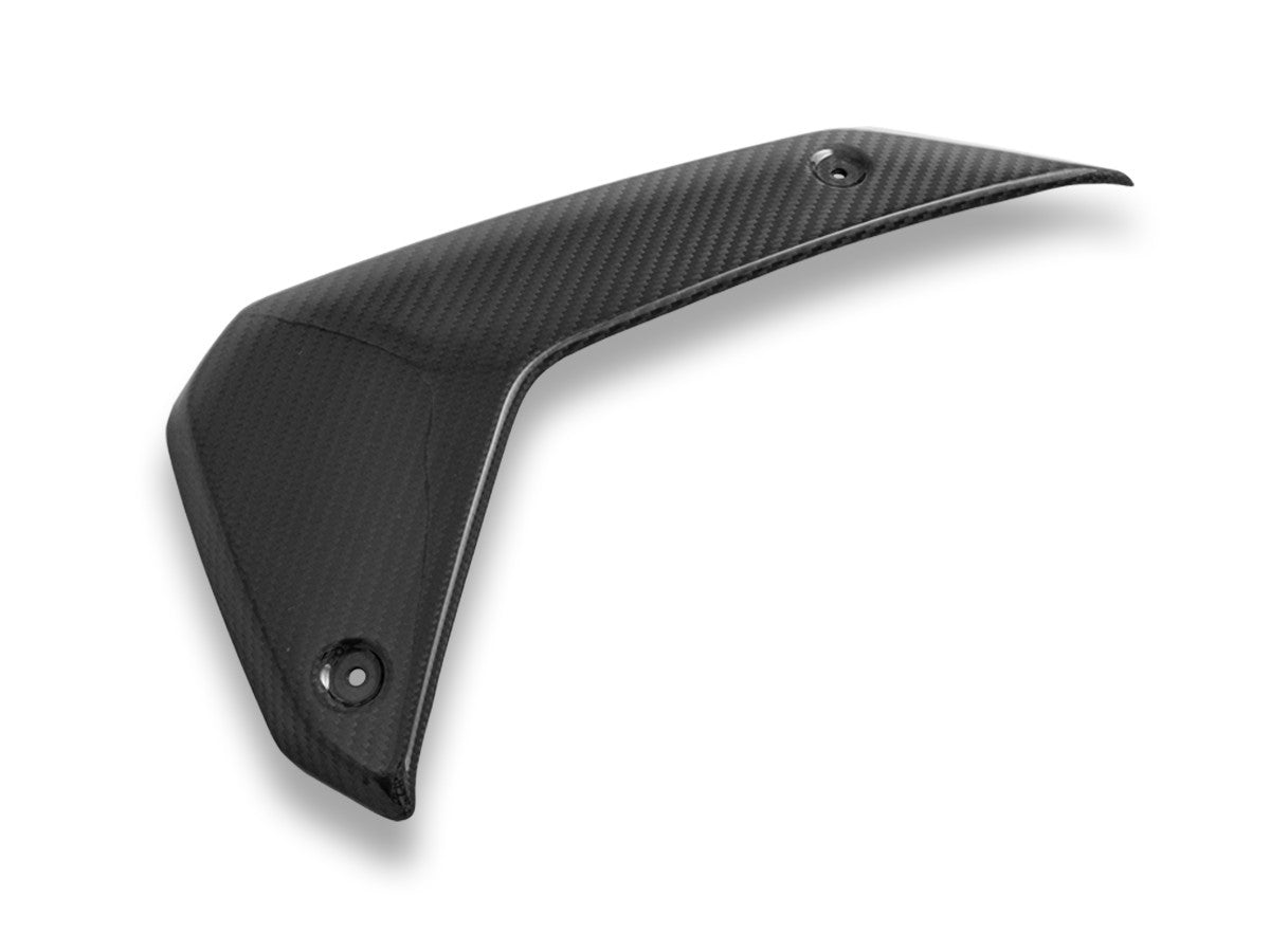 CRB180L - BMW R1300GS GLOSSY CARBON SIDE PANELS