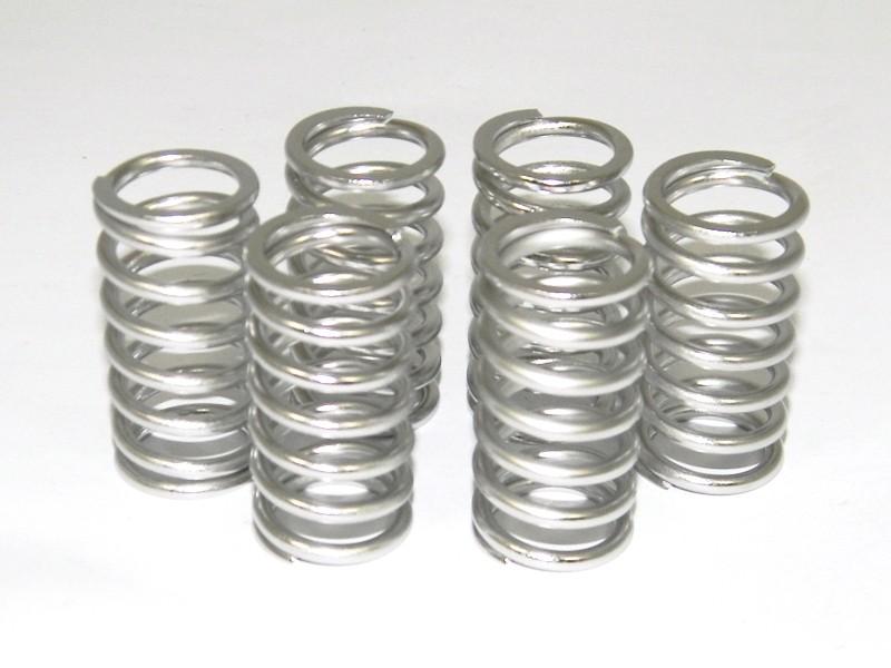 6M01 - KIT CLUTCH SPRINGS