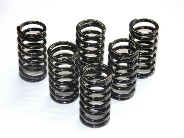 6M01 - KIT CLUTCH SPRINGS