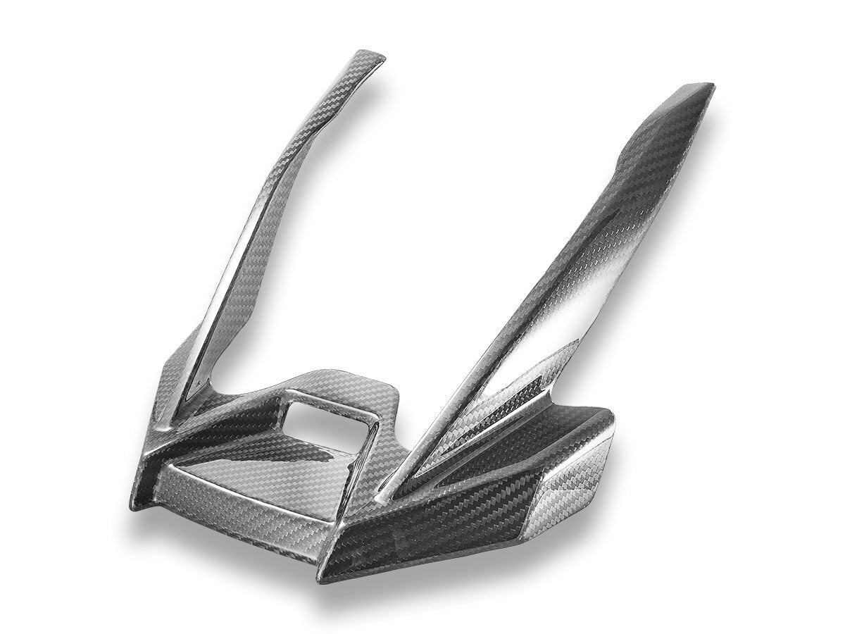 CRB189L BMW R1300GS ADV Glossy Carbon Front Nose Extension