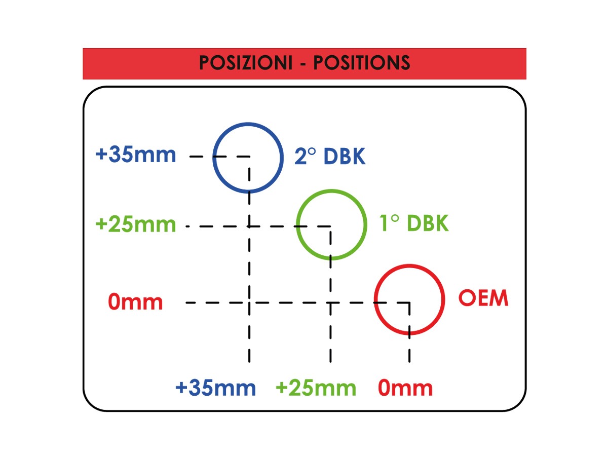 PAP06 - PANIGALE V2 MY25 OEM FOOTREST REAR PLATES