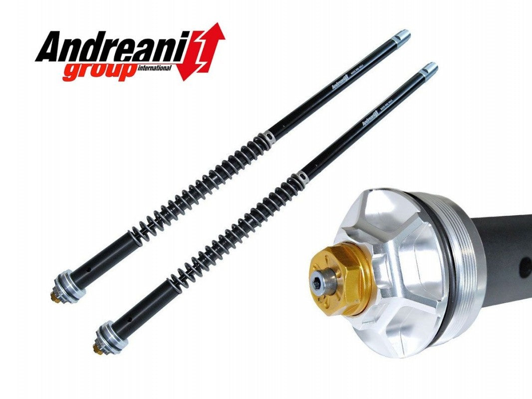 CFD105/A18E - APRILIA RSV4 ADJUSTABLE CARTRIDGE KIT