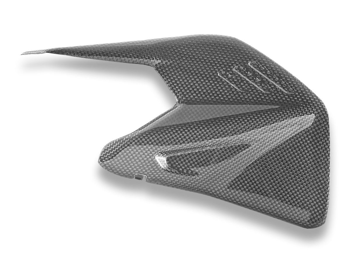 CRB234L - PANIGALE/SF V4 MY25 GLOSSY CARBON SWINGARM PROTECTOR