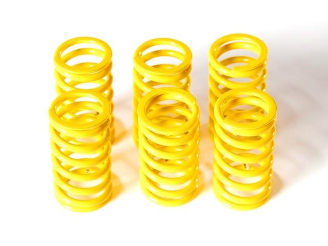 6M01 - KIT CLUTCH SPRINGS