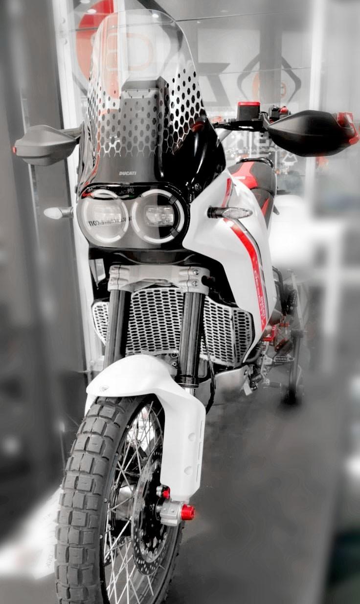 GR14 - DESERTX H20 RADIATOR GUARD