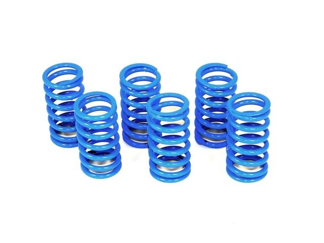6M01 - KIT CLUTCH SPRINGS