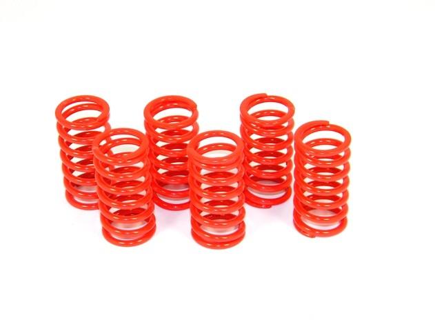 6M01 - KIT CLUTCH SPRINGS