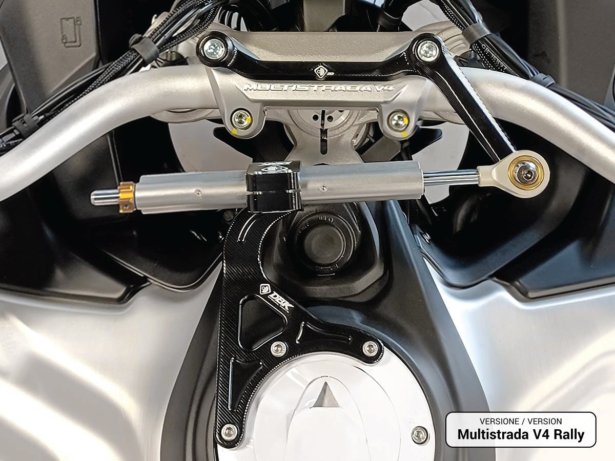 SAS18 - MTSV4 PP KIT MOUNT STEERING DAMPER