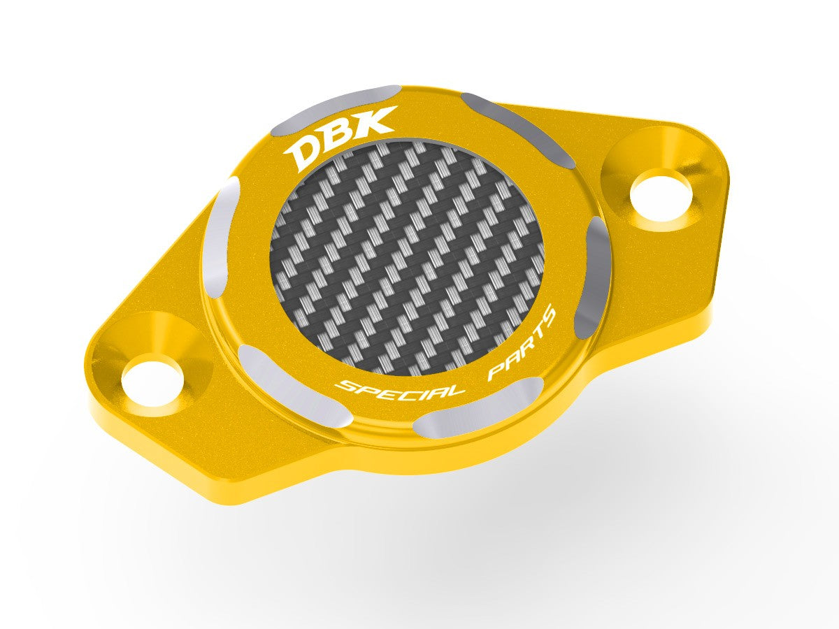 CIF06 Timing Inspection Cover